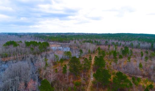 Photo of UNDER CONTRACT!  87 Acres of Hunting and Timber Land For Sale in Harnett County NC!