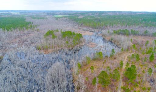 Photo of UNDER CONTRACT!  87 Acres of Hunting and Timber Land For Sale in Harnett County NC!