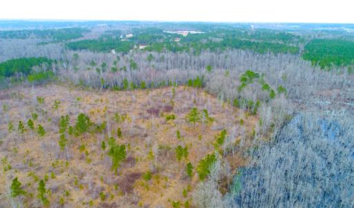 Photo of UNDER CONTRACT!  87 Acres of Hunting and Timber Land For Sale in Harnett County NC!