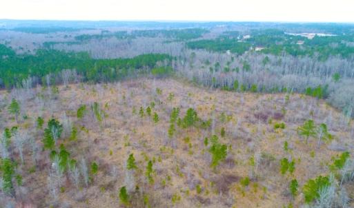 Photo of UNDER CONTRACT!  87 Acres of Hunting and Timber Land For Sale in Harnett County NC!