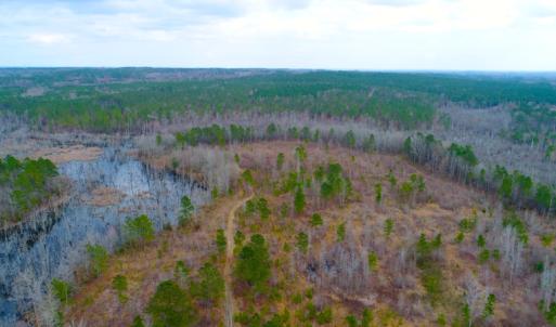 Photo of UNDER CONTRACT!  87 Acres of Hunting and Timber Land For Sale in Harnett County NC!