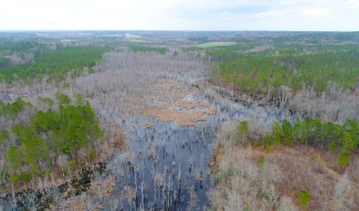 Photo of UNDER CONTRACT!  87 Acres of Hunting and Timber Land For Sale in Harnett County NC!