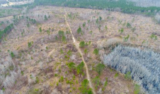 Photo of UNDER CONTRACT!  87 Acres of Hunting and Timber Land For Sale in Harnett County NC!