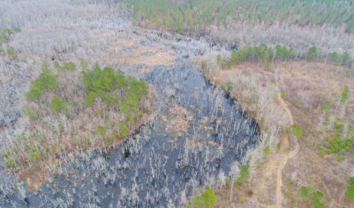 Photo of UNDER CONTRACT!  87 Acres of Hunting and Timber Land For Sale in Harnett County NC!