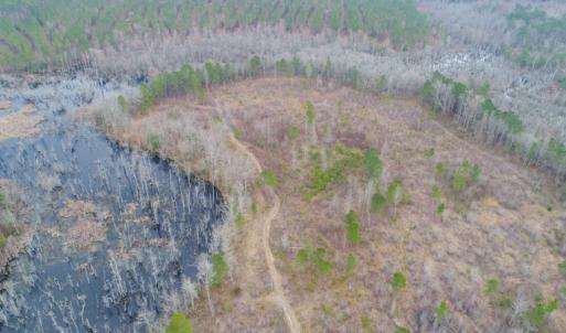 Photo of UNDER CONTRACT!  87 Acres of Hunting and Timber Land For Sale in Harnett County NC!