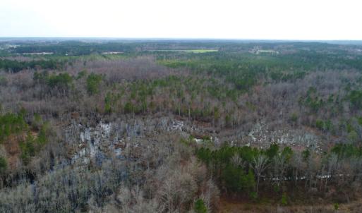 Photo of UNDER CONTRACT!  87 Acres of Hunting and Timber Land For Sale in Harnett County NC!