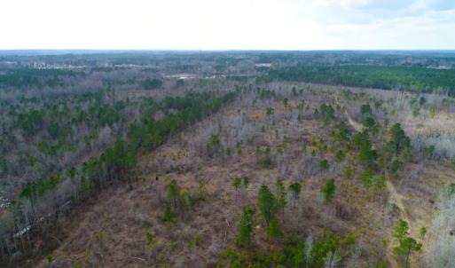 Photo of UNDER CONTRACT!  87 Acres of Hunting and Timber Land For Sale in Harnett County NC!