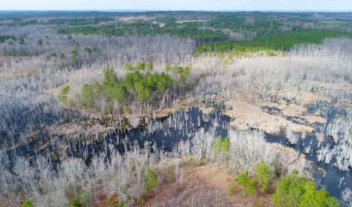 Photo of UNDER CONTRACT!  87 Acres of Hunting and Timber Land For Sale in Harnett County NC!
