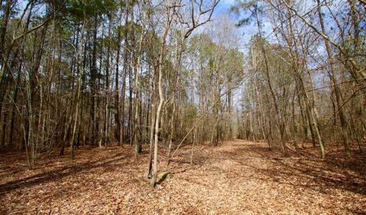 Photo of SOLD!!  69 Acres of Prime Development and Recreational Land in Pitt County NC!