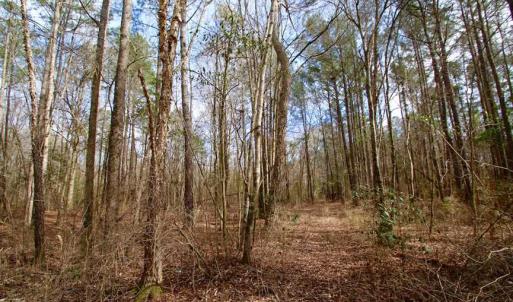 Photo of SOLD!!  69 Acres of Prime Development and Recreational Land in Pitt County NC!