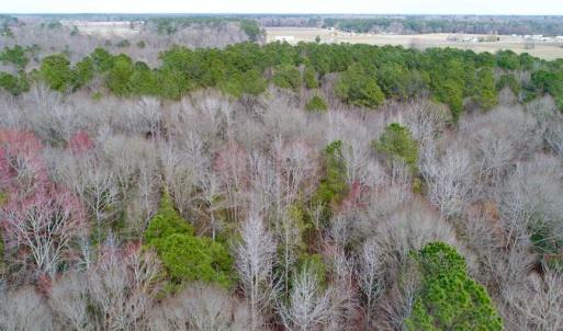 Photo of SOLD!!  69 Acres of Prime Development and Recreational Land in Pitt County NC!