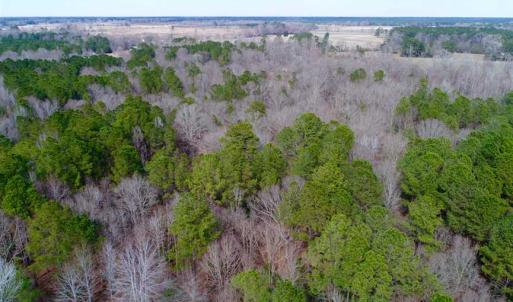Photo of SOLD!!  69 Acres of Prime Development and Recreational Land in Pitt County NC!