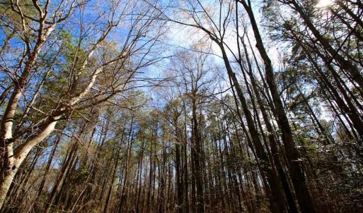 Photo of SOLD!!  69 Acres of Prime Development and Recreational Land in Pitt County NC!