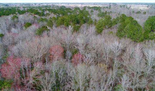 Photo of SOLD!!  69 Acres of Prime Development and Recreational Land in Pitt County NC!