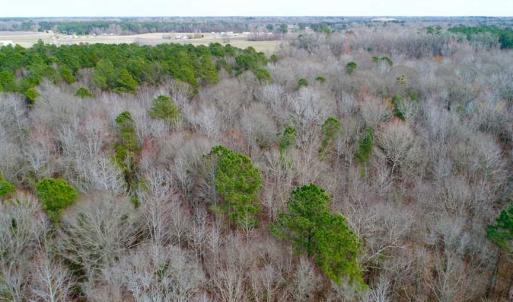 Photo of SOLD!!  69 Acres of Prime Development and Recreational Land in Pitt County NC!