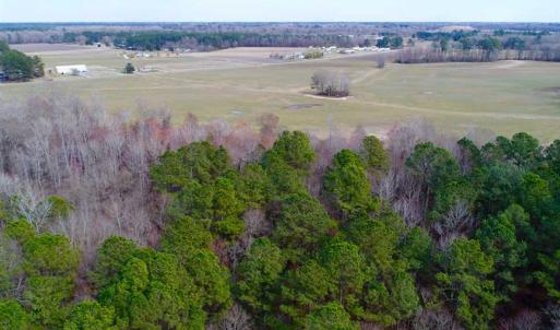 Photo of SOLD!!  69 Acres of Prime Development and Recreational Land in Pitt County NC!