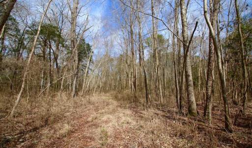 Photo of SOLD!!  69 Acres of Prime Development and Recreational Land in Pitt County NC!