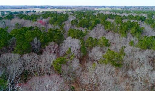 Photo of SOLD!!  69 Acres of Prime Development and Recreational Land in Pitt County NC!