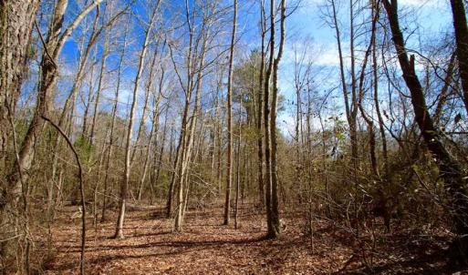 Photo of SOLD!!  69 Acres of Prime Development and Recreational Land in Pitt County NC!