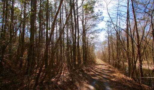 Photo of SOLD!!  69 Acres of Prime Development and Recreational Land in Pitt County NC!
