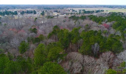 Photo of SOLD!!  69 Acres of Prime Development and Recreational Land in Pitt County NC!