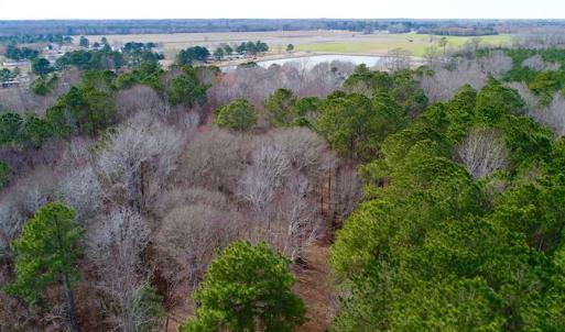 Photo of SOLD!!  69 Acres of Prime Development and Recreational Land in Pitt County NC!