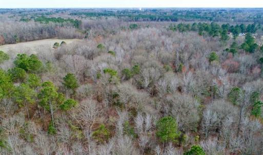 Photo of SOLD!!  69 Acres of Prime Development and Recreational Land in Pitt County NC!
