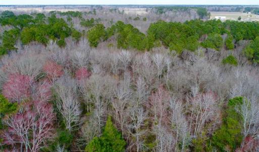 Photo of SOLD!!  69 Acres of Prime Development and Recreational Land in Pitt County NC!