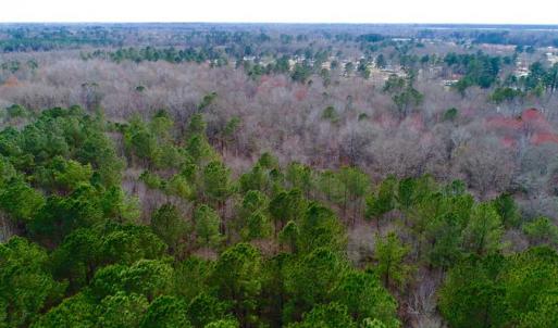 Photo of SOLD!!  69 Acres of Prime Development and Recreational Land in Pitt County NC!