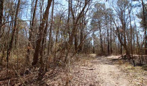 Photo of SOLD!!  69 Acres of Prime Development and Recreational Land in Pitt County NC!