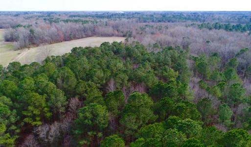 Photo of SOLD!!  69 Acres of Prime Development and Recreational Land in Pitt County NC!