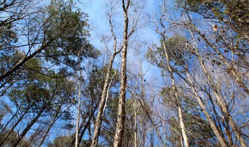 Photo of SOLD!!  69 Acres of Prime Development and Recreational Land in Pitt County NC!