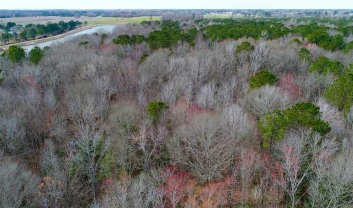 Photo of SOLD!!  69 Acres of Prime Development and Recreational Land in Pitt County NC!