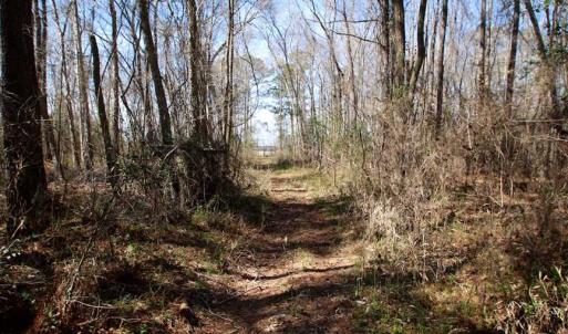Photo of SOLD!!  69 Acres of Prime Development and Recreational Land in Pitt County NC!