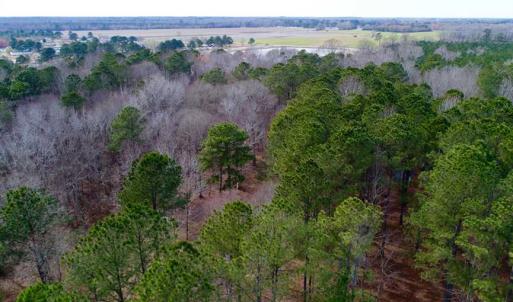 Photo of SOLD!!  69 Acres of Prime Development and Recreational Land in Pitt County NC!