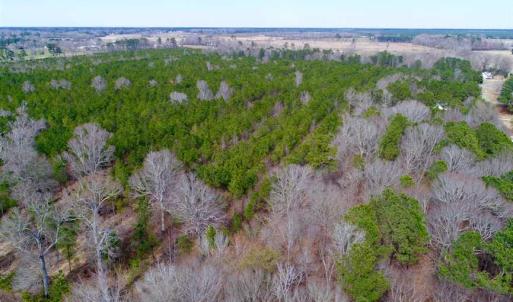 Photo of SOLD!!  69 Acres of Prime Development and Recreational Land in Pitt County NC!