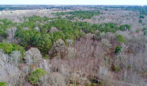 Photo of SOLD!!  69 Acres of Prime Development and Recreational Land in Pitt County NC!
