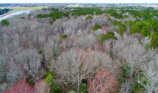 Photo of SOLD!!  69 Acres of Prime Development and Recreational Land in Pitt County NC!