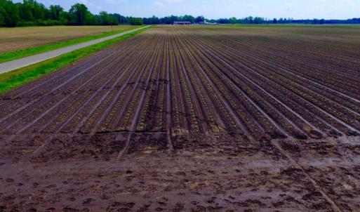 Photo of UNDER CONTRACT!  130 Acres of Prime Farm and Commercial Land For Sale in Jones County NC!