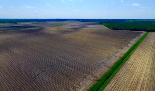 Photo of UNDER CONTRACT!  130 Acres of Prime Farm and Commercial Land For Sale in Jones County NC!