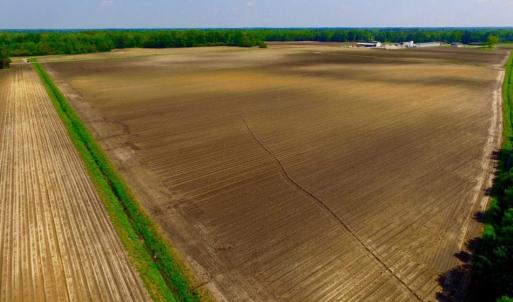 Photo of UNDER CONTRACT!  130 Acres of Prime Farm and Commercial Land For Sale in Jones County NC!