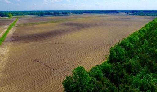 Photo of UNDER CONTRACT!  130 Acres of Prime Farm and Commercial Land For Sale in Jones County NC!