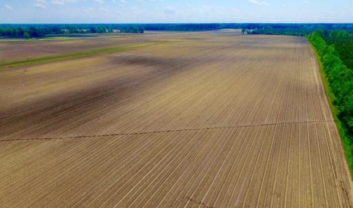 Photo of UNDER CONTRACT!  130 Acres of Prime Farm and Commercial Land For Sale in Jones County NC!