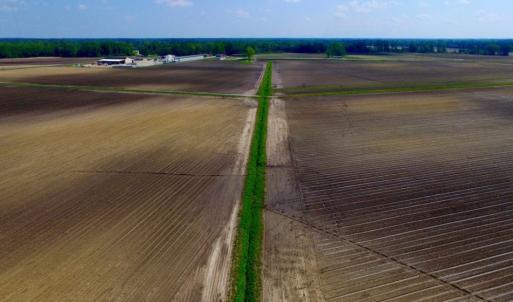 Photo of UNDER CONTRACT!  130 Acres of Prime Farm and Commercial Land For Sale in Jones County NC!