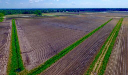 Photo of UNDER CONTRACT!  130 Acres of Prime Farm and Commercial Land For Sale in Jones County NC!