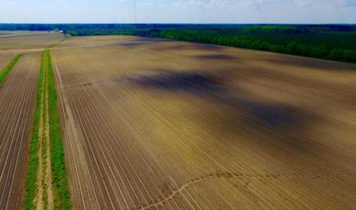 Photo of UNDER CONTRACT!  130 Acres of Prime Farm and Commercial Land For Sale in Jones County NC!