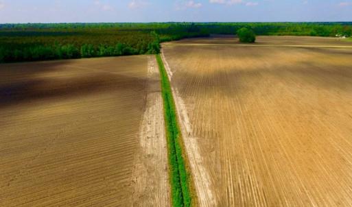 Photo of UNDER CONTRACT!  130 Acres of Prime Farm and Commercial Land For Sale in Jones County NC!