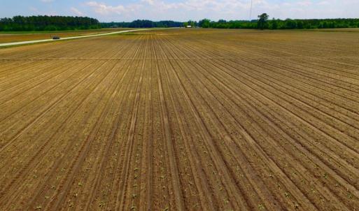 Photo of UNDER CONTRACT!  130 Acres of Prime Farm and Commercial Land For Sale in Jones County NC!