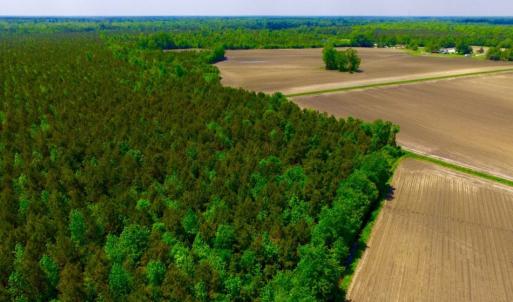 Photo of UNDER CONTRACT!  130 Acres of Prime Farm and Commercial Land For Sale in Jones County NC!