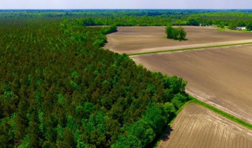 Photo of UNDER CONTRACT!  130 Acres of Prime Farm and Commercial Land For Sale in Jones County NC!